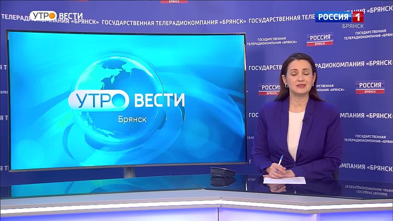 Мы спросили у брянцев, какую елку они планируют ставить у себя дома