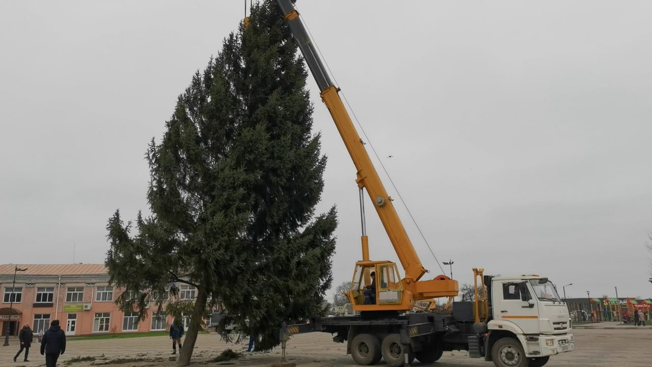 9 декабря 2025 года в нашем округе торжественно встречали главную новогоднюю ель 9 декабря 2025 года в нашем округе торжественно встречали главную новогоднюю ель