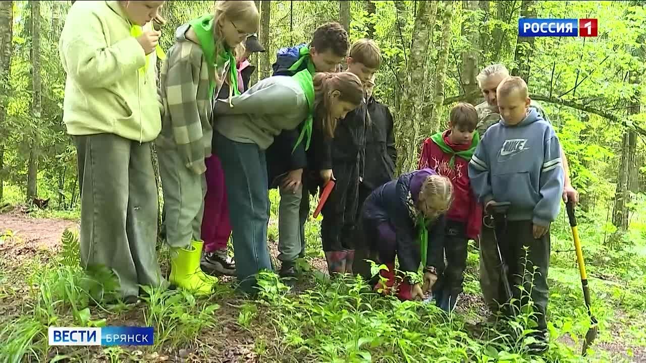 Завершилась "Вахта памяти-2025"