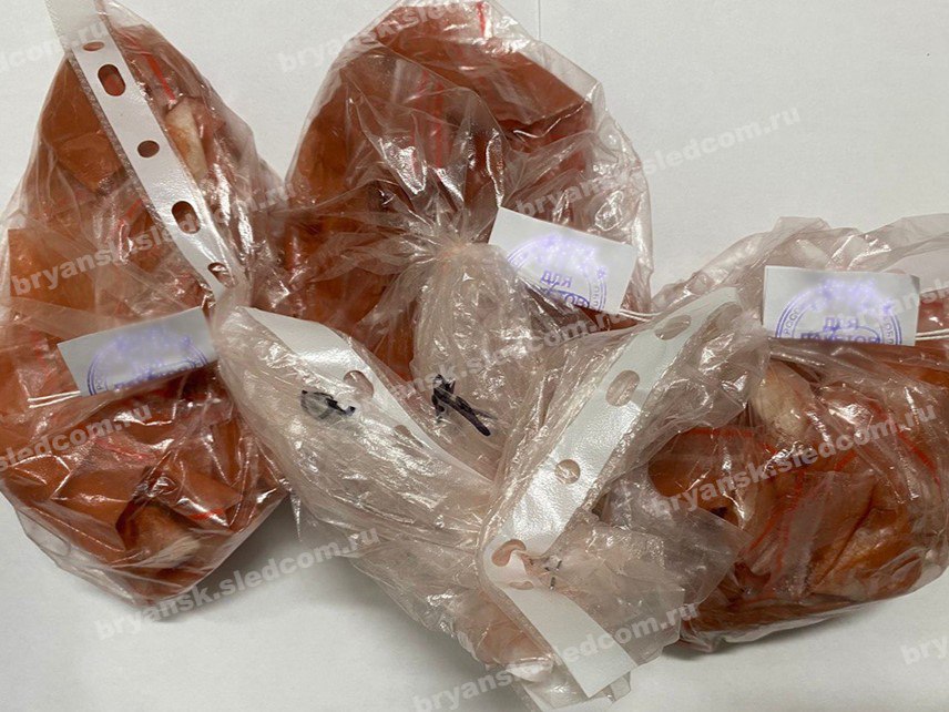 В Брянском районе несовершеннолетний житель города Трубчевска осужден за покушение на незаконный сбыт наркотических средств (ч. 3 ст. 30 – п. «г» ч. 4 ст. 228.1 УК РФ) В Брянском районе несовершеннолетний житель города Трубчевска осужден за покушение на незаконный сбыт наркотических средств (ч. 3 ст. 30 – п. «г» ч. 4 ст. 228.1 УК РФ)