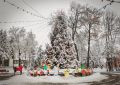 Главная ёлка Брянска уже дарит всем новогоднее настроение