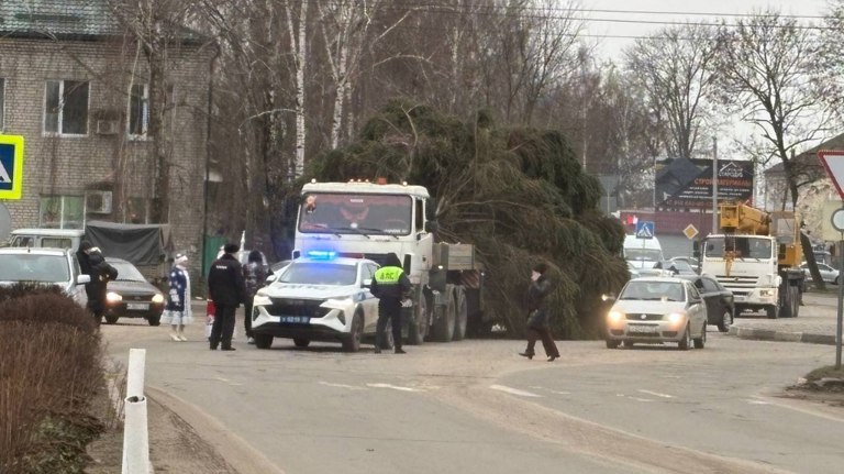 В Стародубе установили 27-метровую главную новогоднюю ёлку