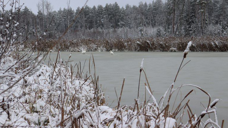 ���� ������� �������� � ����������� ��������� ��� �� ����