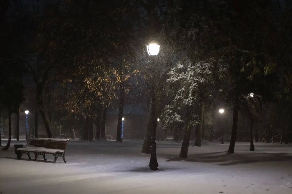 ������� ������ ������� ������������ ���� �� ����� �����������