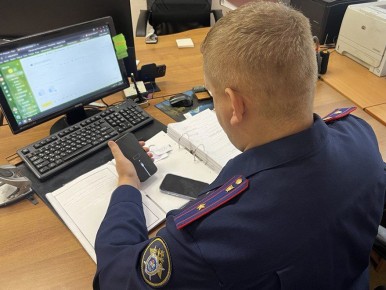 В Брянском районе несовершеннолетний житель города Трубчевска осужден за покушение на незаконный сбыт наркотических средств (ч. 3 ст. 30 – п. «г» ч. 4 ст. 228.1 УК РФ)