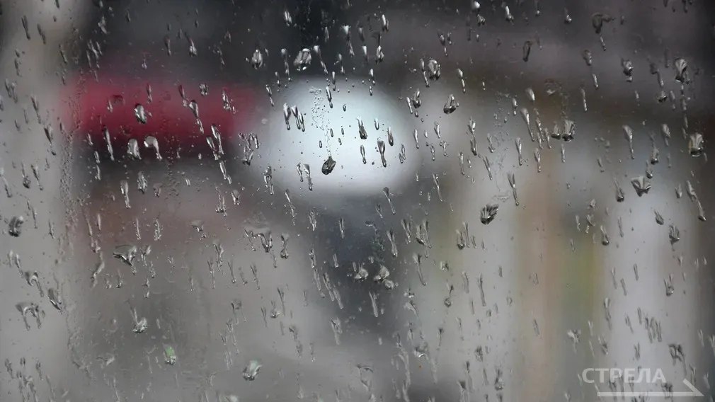 Завтра, 12 декабря, в Брянской области будет наблюдаться облачная погода