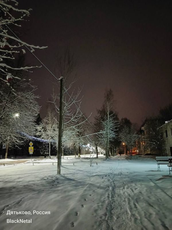 ���� � �������� ������� ����������� ����