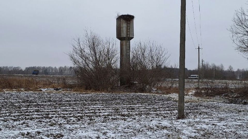 ����������� ������� ������ ������������ ������ ����� �� ���� ������������ �����