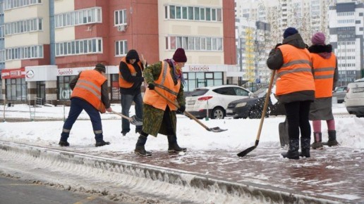 Из Брянска вывезли почти 440 тонн снега