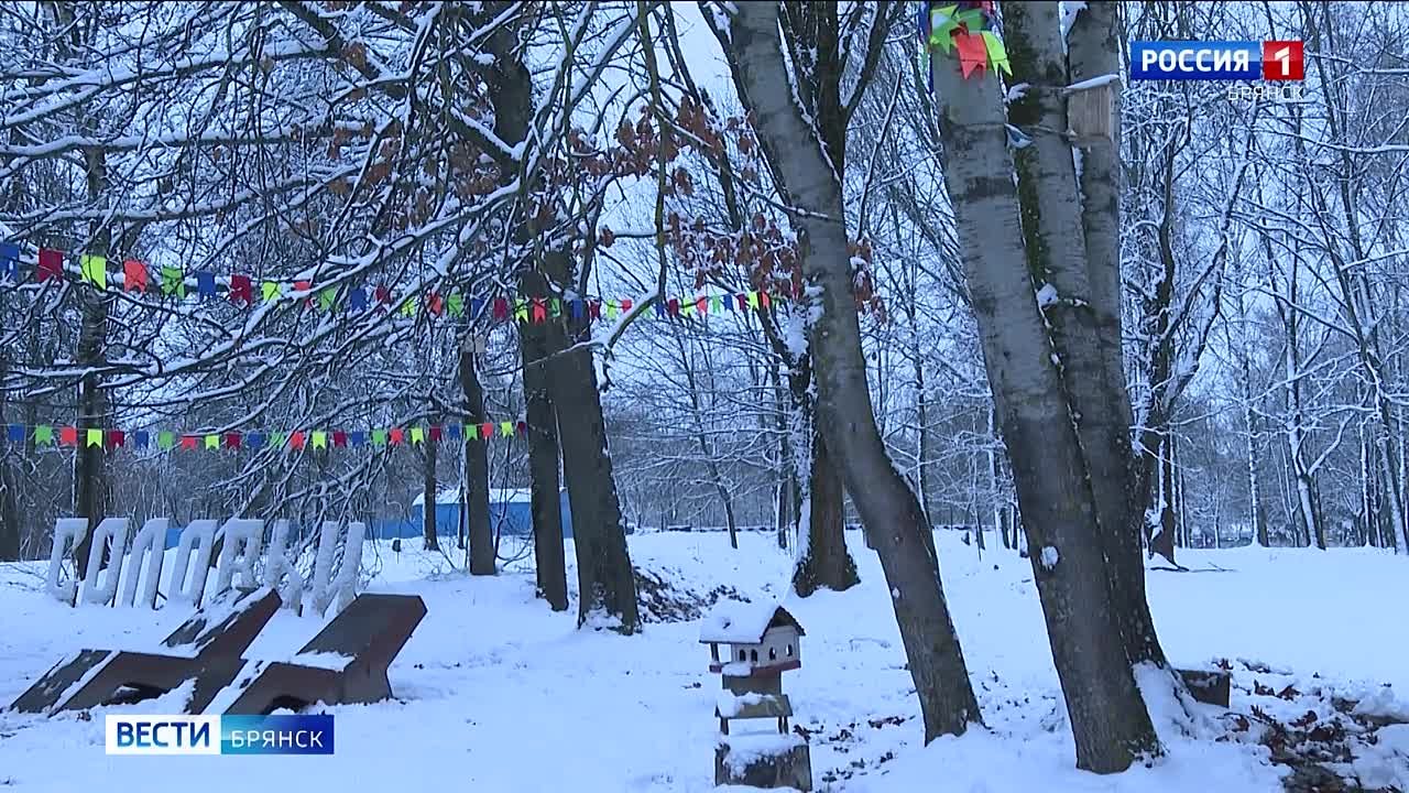 В Брянском молодежном центре появился музей леса "Соловьи"