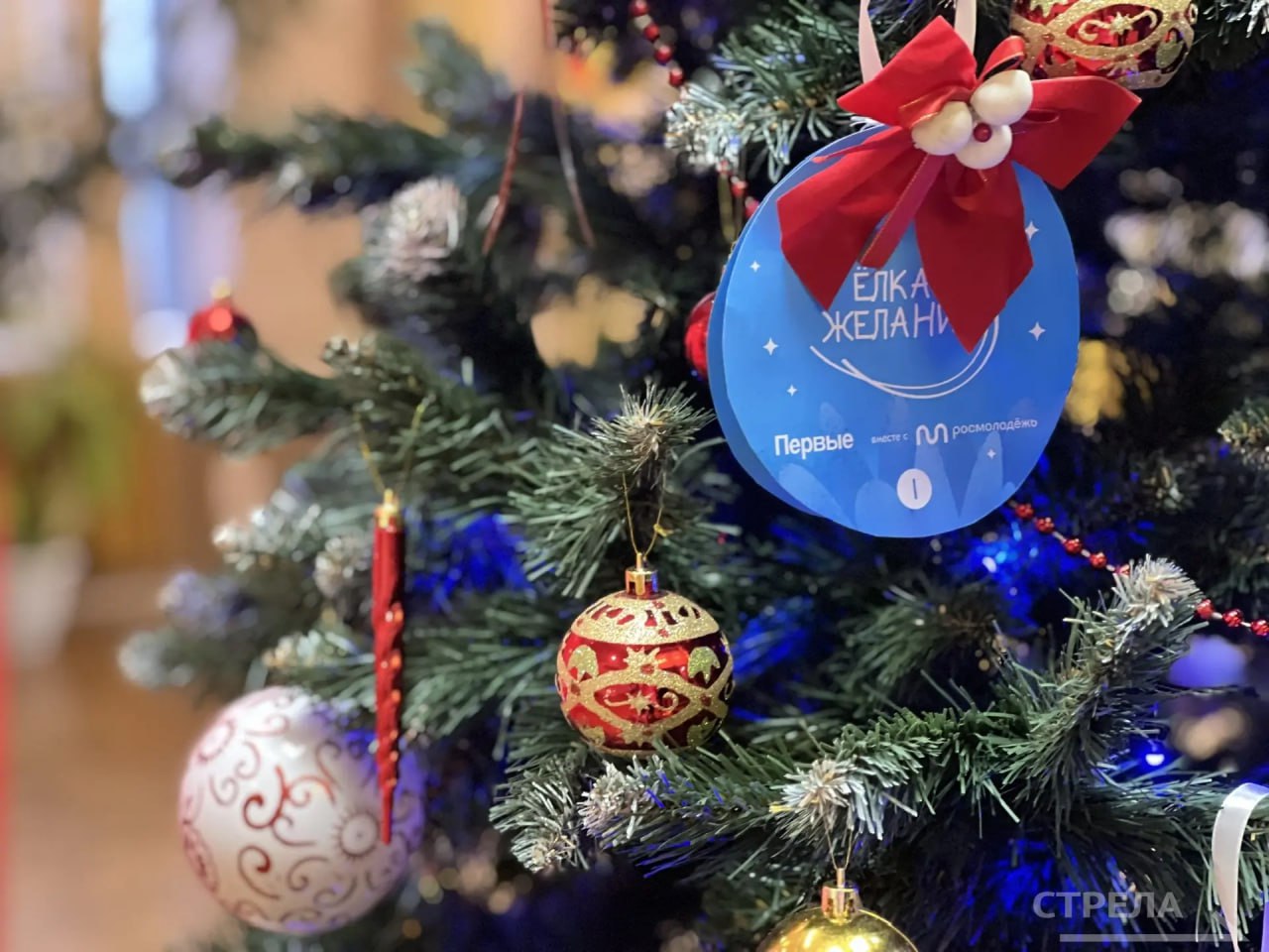 Сегодня в Брянске в рамках регионального форума Движения Первых «Навстречу мечте» Губернатор Александр Богомаз дал старт Всероссийской благотворительной акции «Ёлка желаний» Сегодня в Брянске в рамках регионального форума Движения Первых «Навстречу мечте» Губернатор Александр Богомаз дал старт Всероссийской благотворительной акции «Ёлка желаний»