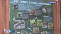 В Брянском молодежном центре появился музей леса "Соловьи"