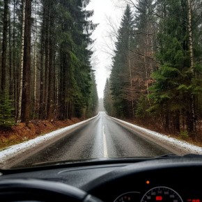 По данным Брянского гидрометцентра, 12 декабря на территории Брянской области облачно