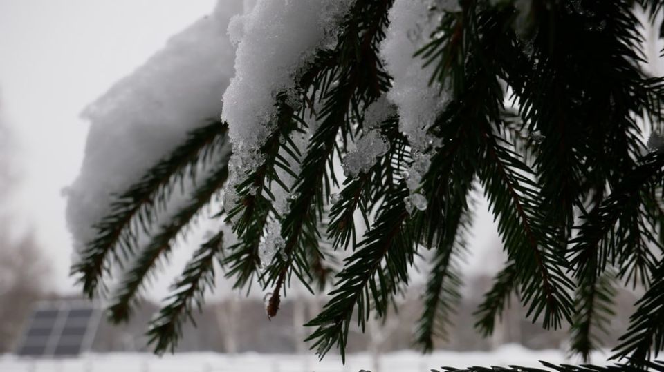 ������, 13 �������, � �������� ������� �������������� �������� ������