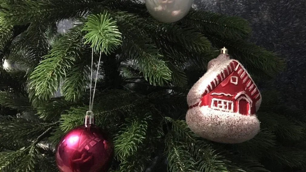 В Центре внешкольной работы города Брянска 18 декабря состоится праздник «Тенишевская ёлка»