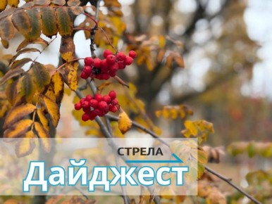 �� 13 �������. � ������ �� ������������ � �������� ������� ��������� ������ ������������ -