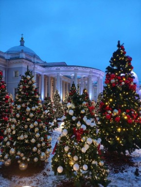 А это фото из Москвы.. Новый год в саду больницы имени Н.В. Склифосовского