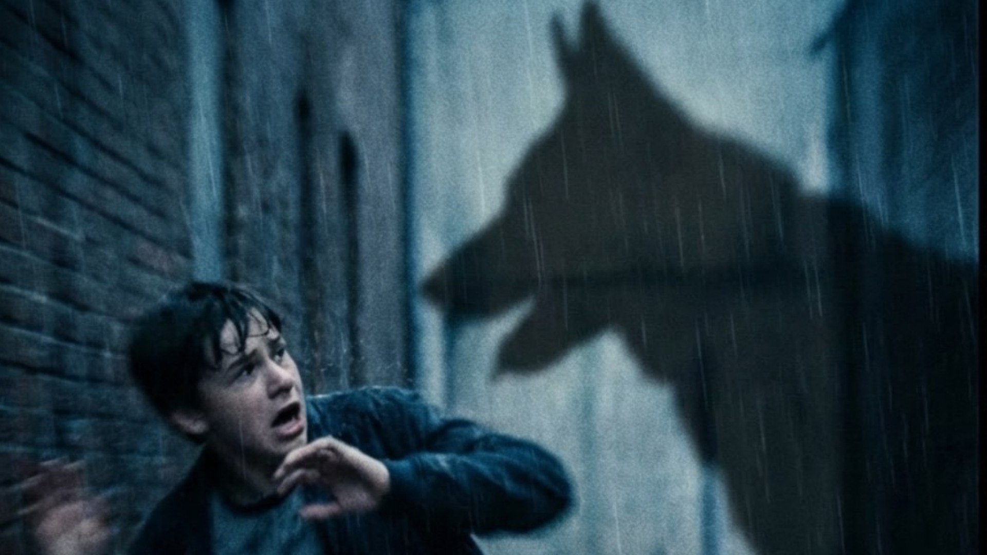 Бродячая собака "откусила" 40 тысяч рублей от бюджета Сельцо