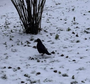 ���� ��� ������, �� ����� ���� �� ������ ������ ���������� ������� ������� ��������� ������ ���������