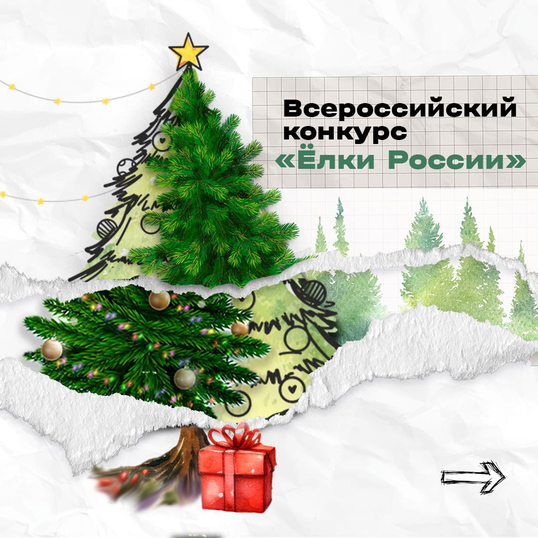 Стартовал Всероссийский конкурс «Ёлки России»