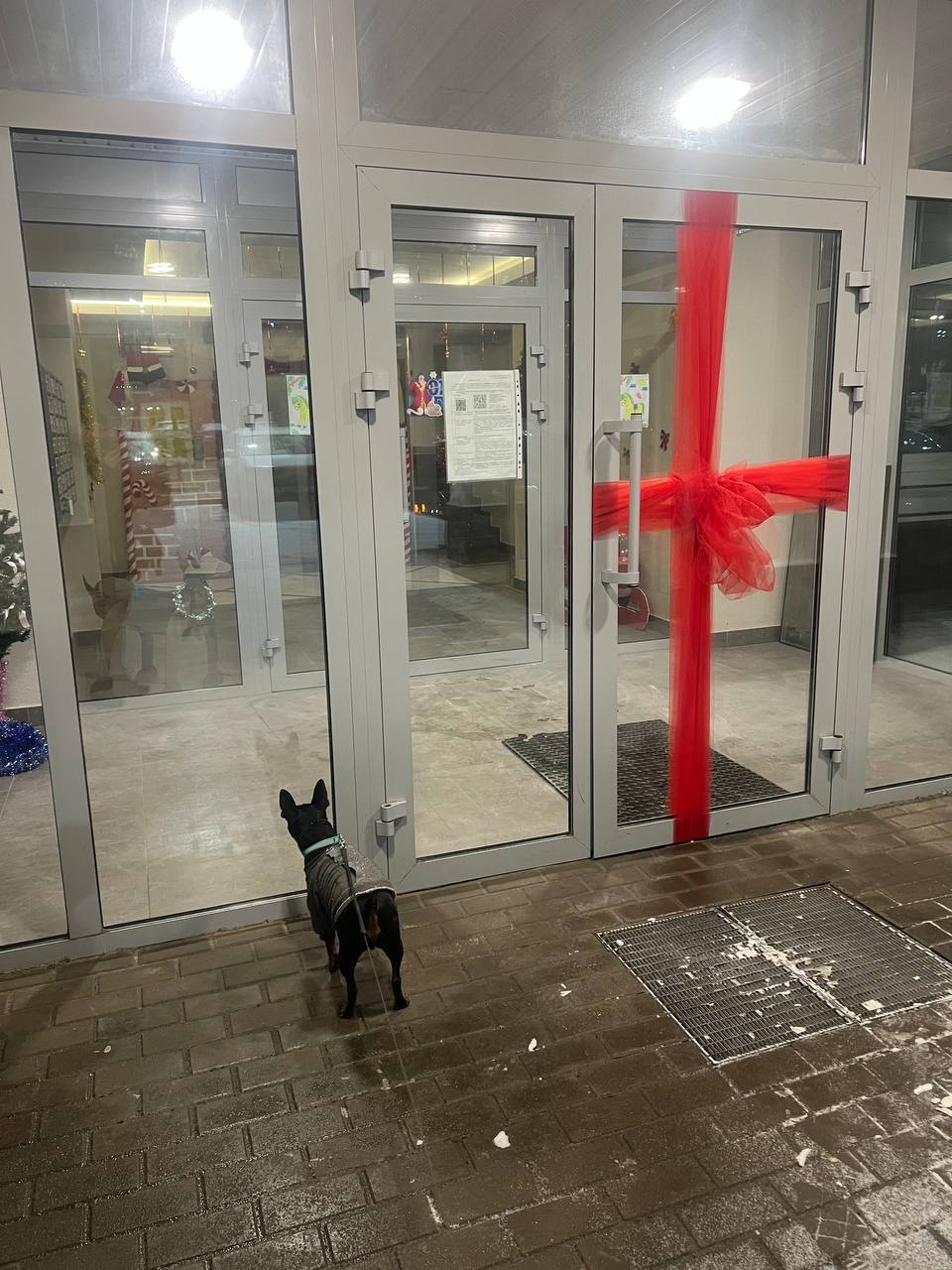 Дорогие жители Брянского района! Дорогие жители Брянского района!