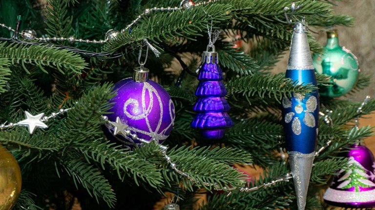 В Брянске открываются новогодние елочные базары