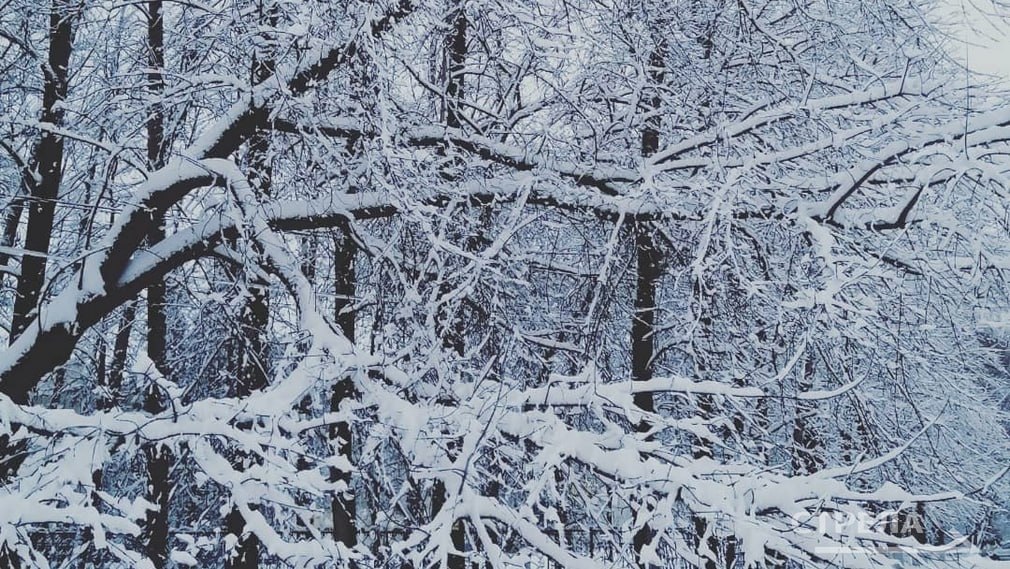 Завтра, 17 декабря, на территории Брянской области будет облачно с прояснениями