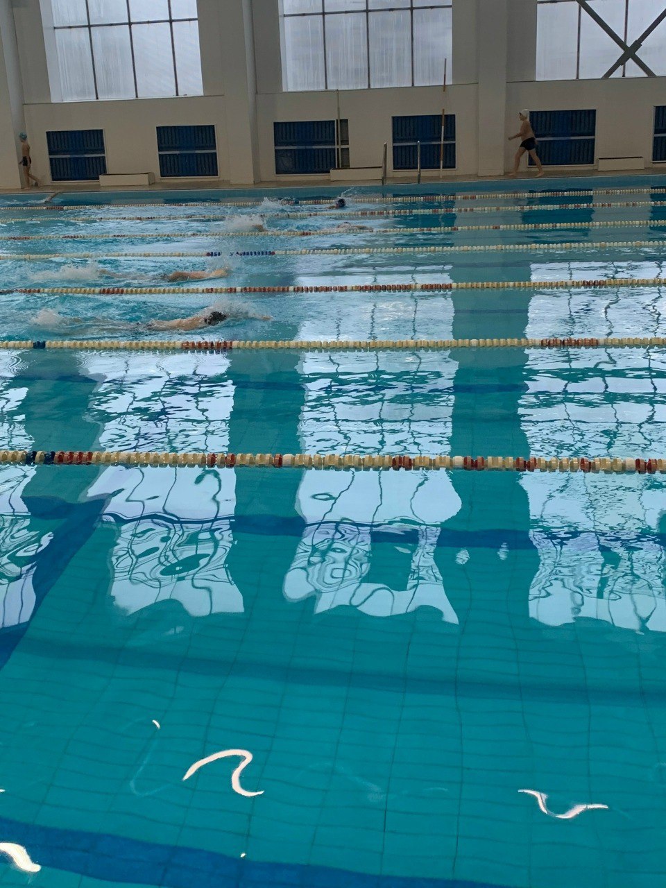 В Брянске прошли соревнования по плаванию «Новогодние старты» В Брянске прошли соревнования по плаванию «Новогодние старты»