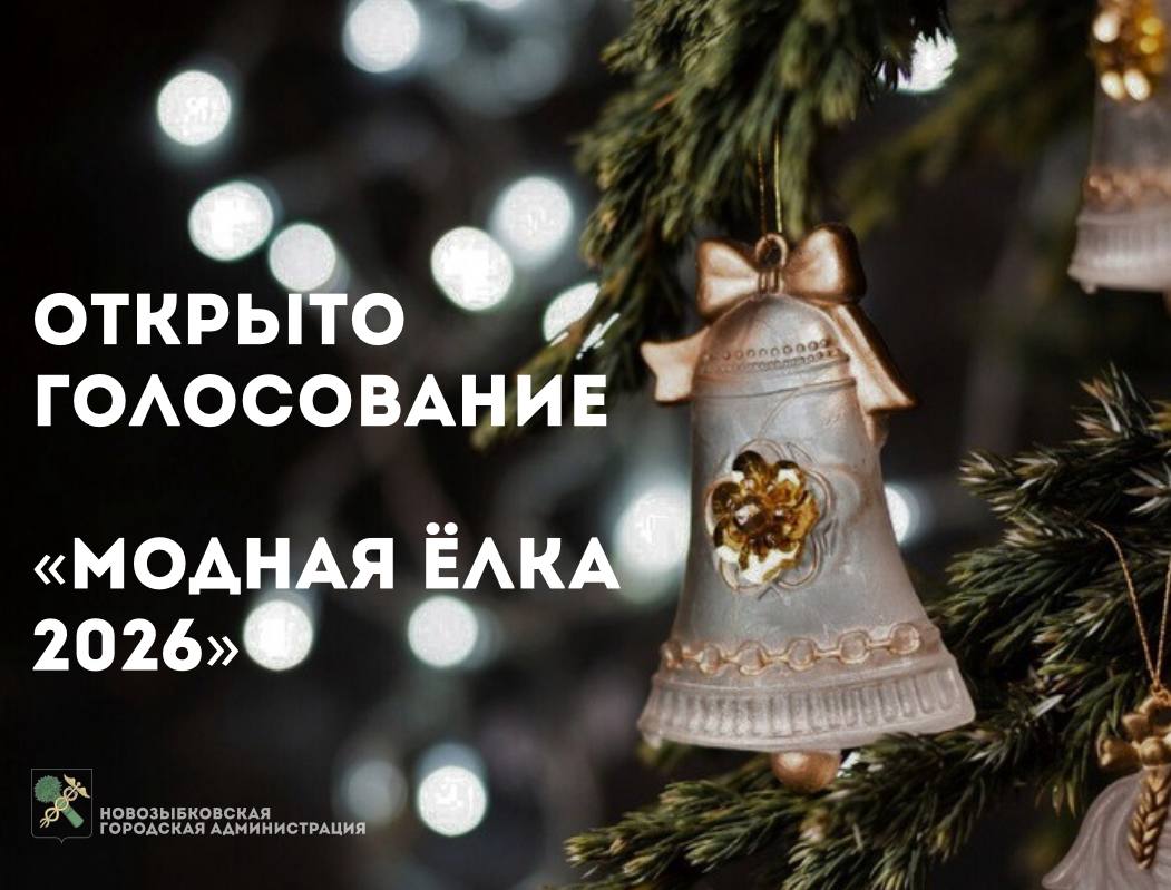 ОНЛАЙН-ГОЛОСОВАНИЕ «МОДНАЯ ЁЛКА – 2026»