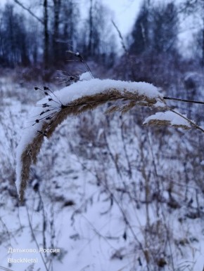 ����� ����� ����� ���� �����