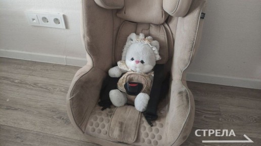 В Брянской области увеличатся в два раза штрафы за несоблюдение установленных требований к перевозке детей