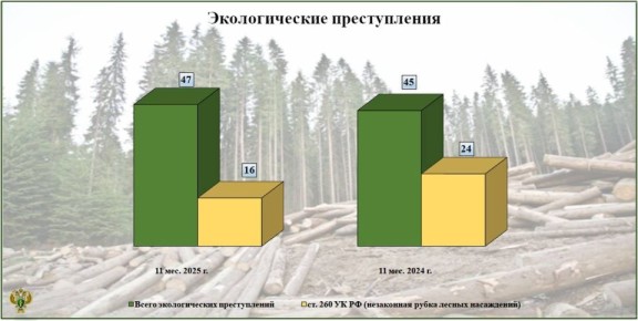 ������������ ������� ���������������� �������������� ������ �� ������������� ������������� � ������� �� ������-������ 2025 ����