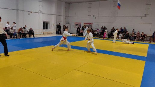 В Брянске прошло Первенство города по айкидо