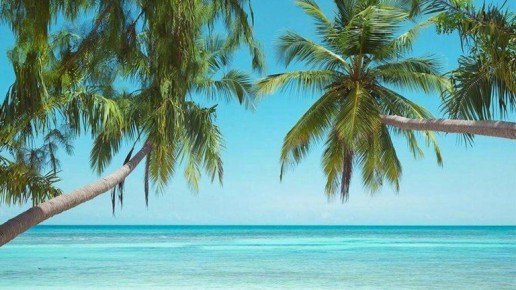 Брянцам назвали страны, которые могут омрачить новогодний отдых россиян