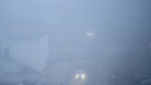В Брянской области введен желтый уровень погодной опасности из-за гололеда и тумана