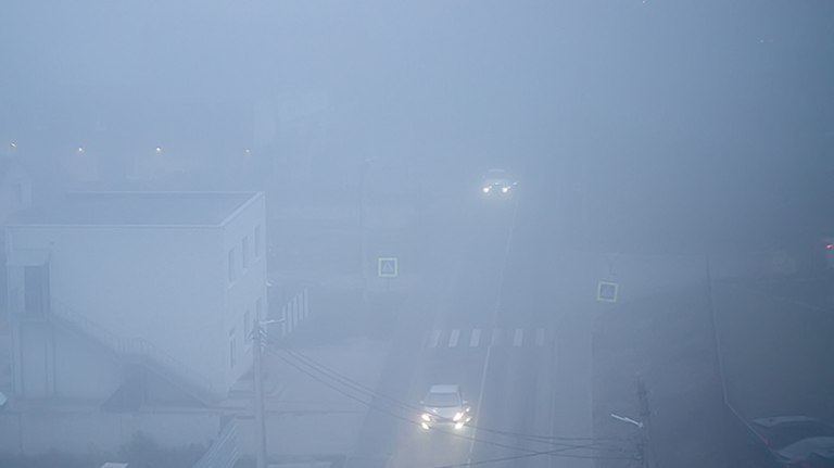В Брянской области введен желтый уровень погодной опасности из-за гололеда и тумана