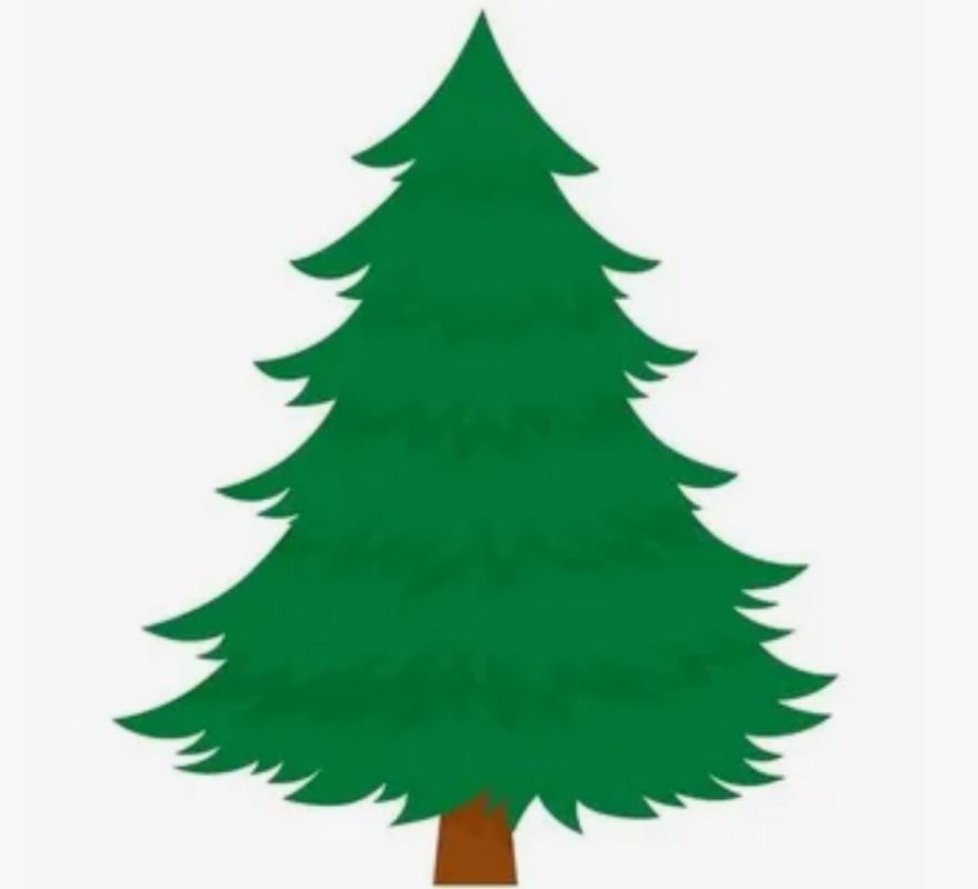 ���������� �������� ����������� ����������� ����������� ����������: