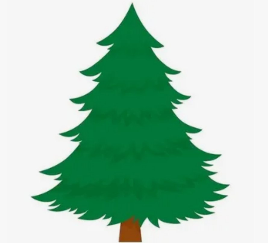 Участковый лесничий Климовского участкового лесничества напоминает: