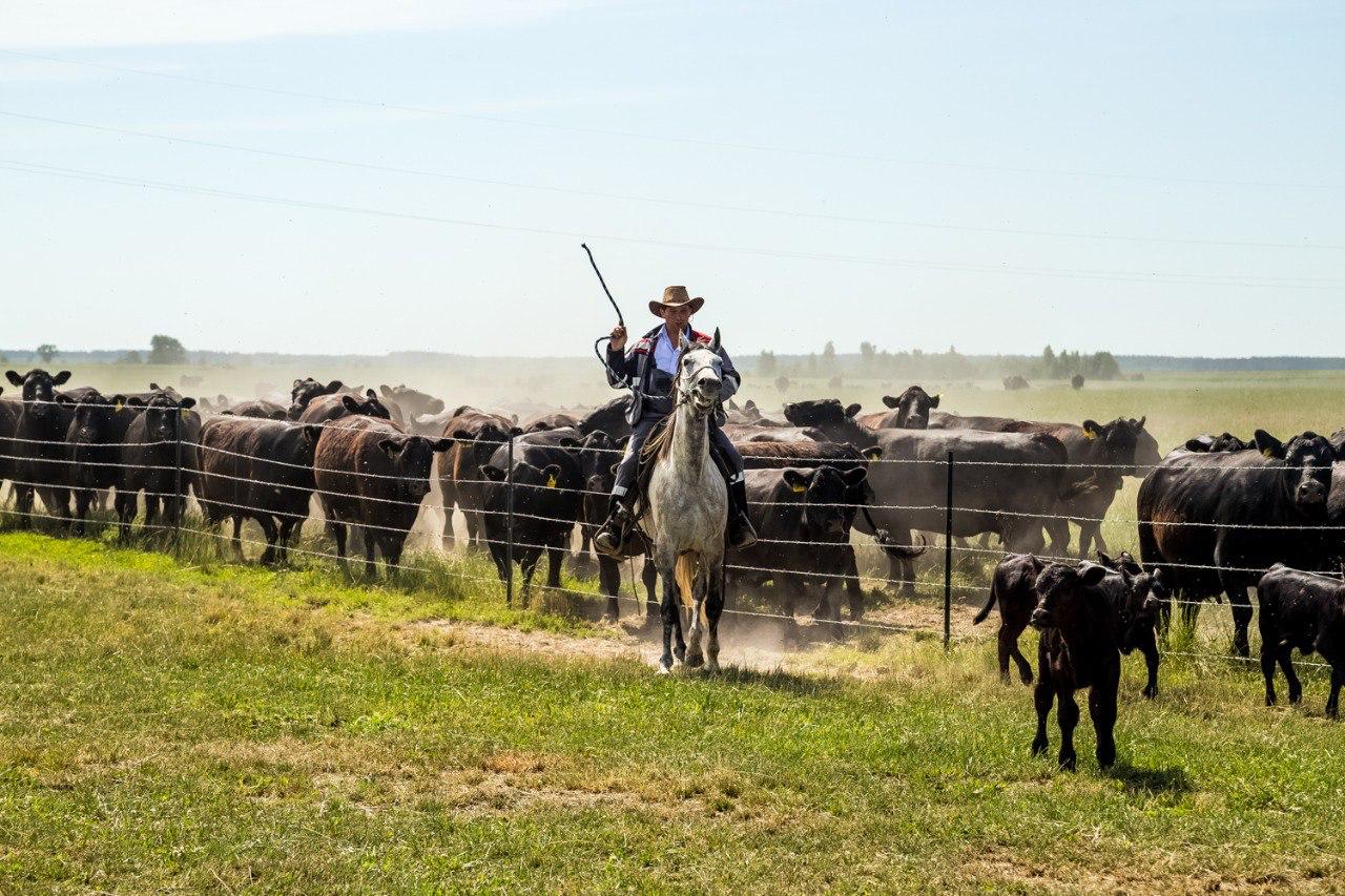 Эти снимки не со съёмок сериала «Йеллоустоун» Эти снимки не со съёмок сериала «Йеллоустоун»