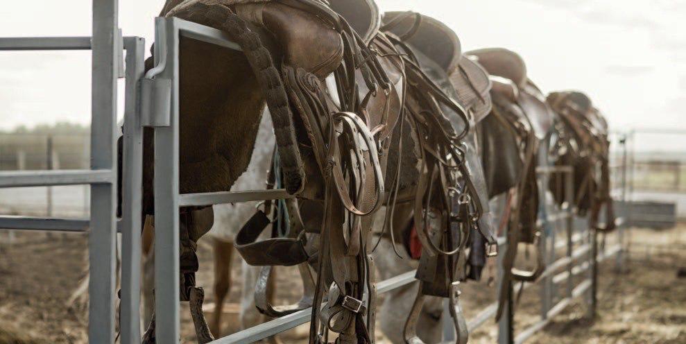 Эти снимки не со съёмок сериала «Йеллоустоун» Эти снимки не со съёмок сериала «Йеллоустоун»