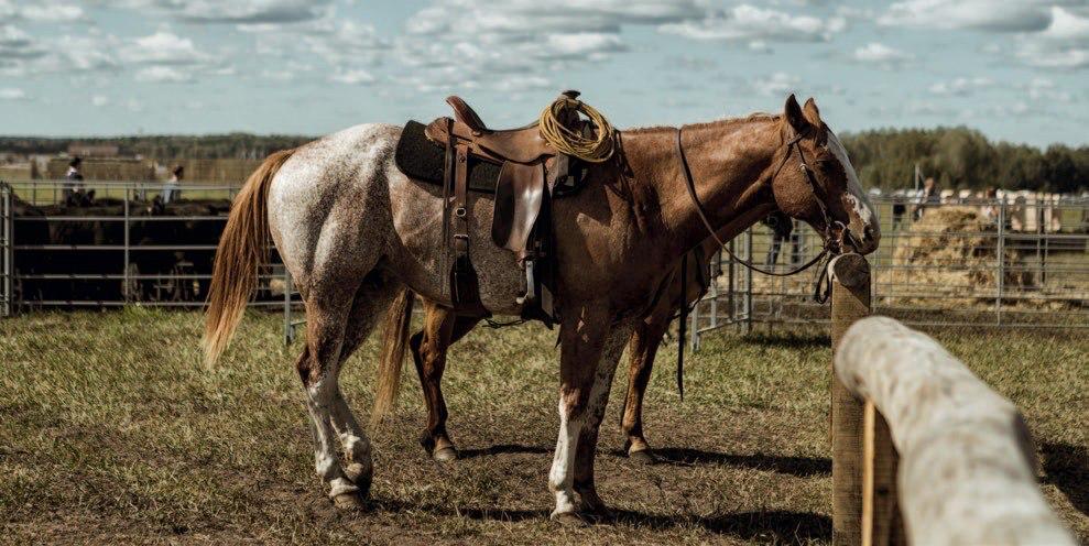Эти снимки не со съёмок сериала «Йеллоустоун» Эти снимки не со съёмок сериала «Йеллоустоун»