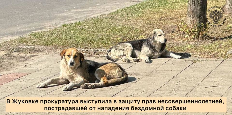 ����������� ���������� ������ ������� �������� �� ��������� ������� ���������� � ��������� ������������ ������ �� �� ����, 2012 ���� ��������