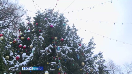 В сквере Карла Маркса Брянска 19 декабря состоится открытие главной городской ёлки