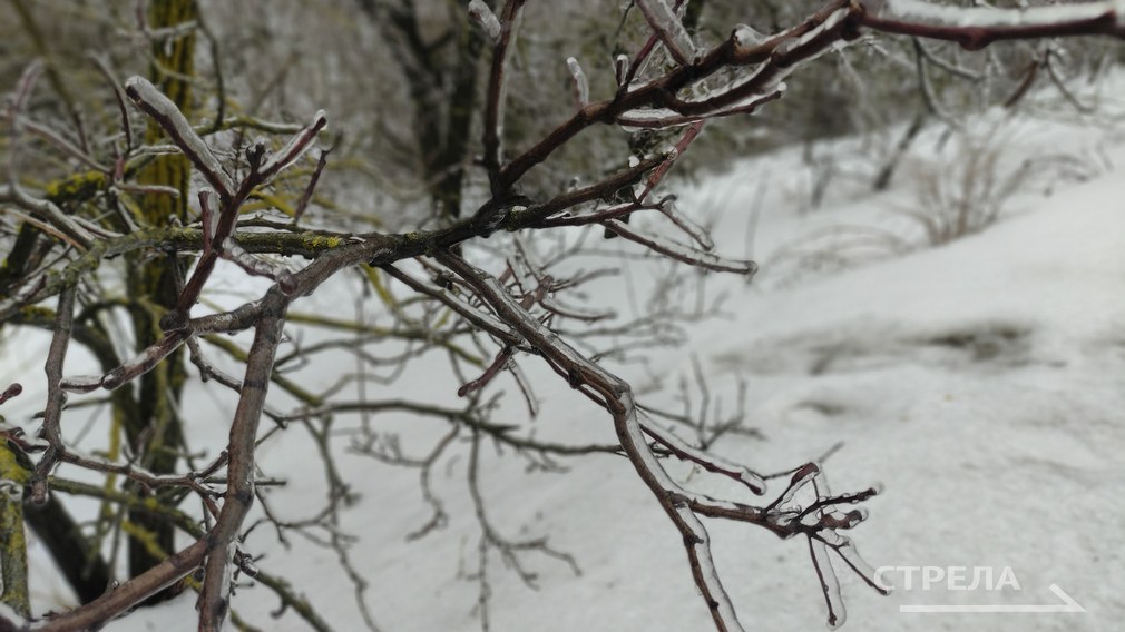 Завтра, 20 декабря, на территории Брянской области будет облачная погода с прояснениями