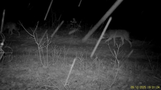 ���, ������!� �� ��������� ����