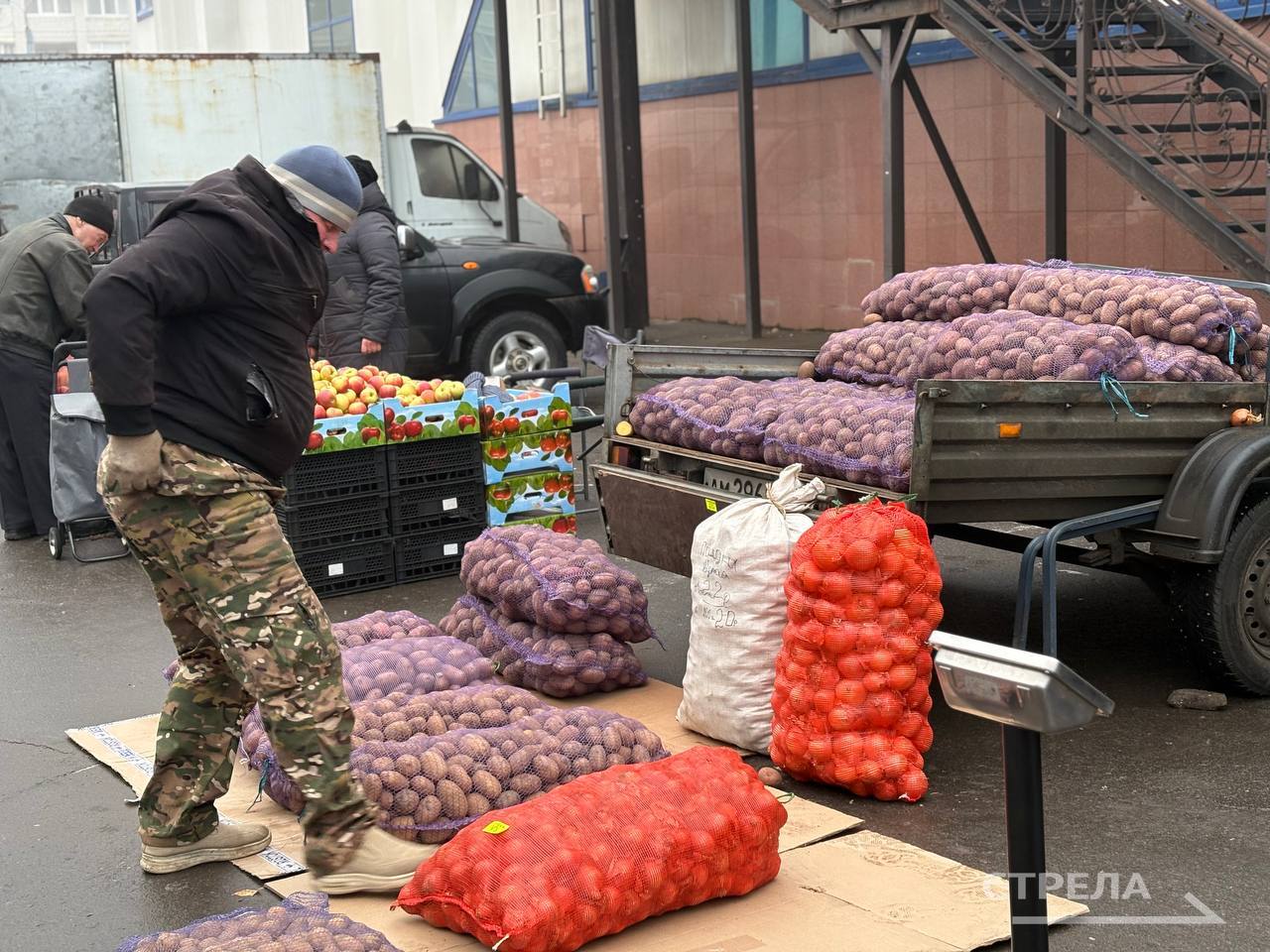 Сегодня, 20 декабря, в Брянске продолжают свою работу ярмарки выходного дня Сегодня, 20 декабря, в Брянске продолжают свою работу ярмарки выходного дня