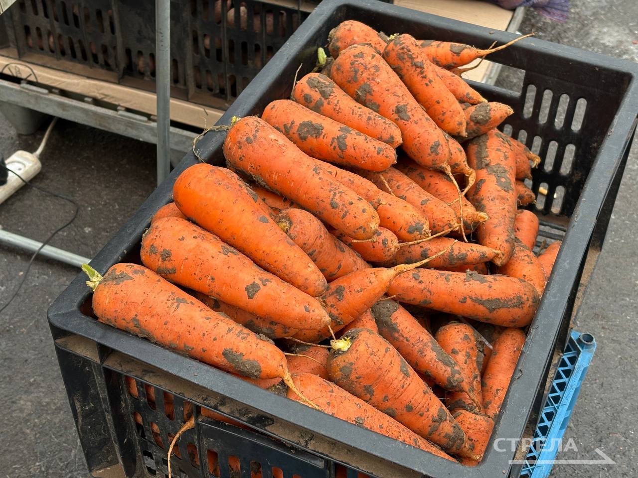 Сегодня, 20 декабря, в Брянске продолжают свою работу ярмарки выходного дня Сегодня, 20 декабря, в Брянске продолжают свою работу ярмарки выходного дня