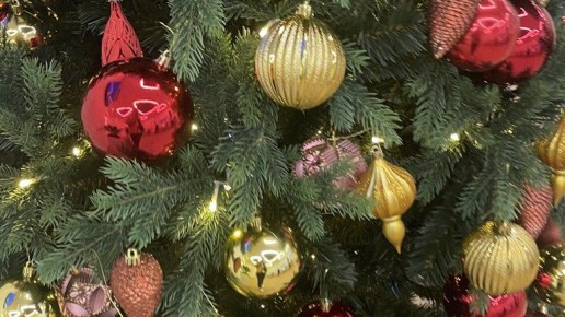 МЧС напомнило брянцам о правилах безопасного выбора новогодней елки