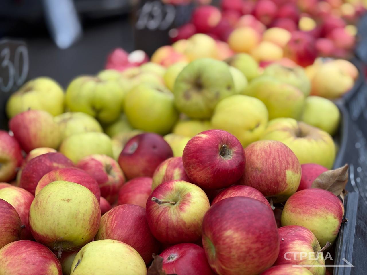 Сегодня, 20 декабря, в Брянске продолжают свою работу ярмарки выходного дня Сегодня, 20 декабря, в Брянске продолжают свою работу ярмарки выходного дня