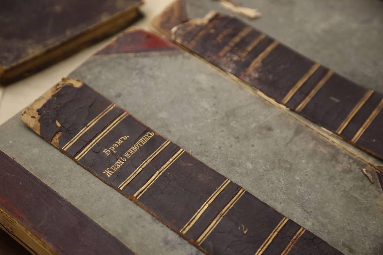 Брянские вещественные доказательства стали историей Брянские вещественные доказательства стали историей